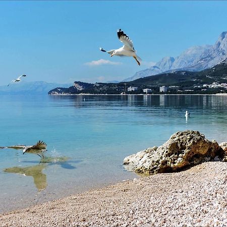 Apartments Sonja Tučepi Dış mekan fotoğraf